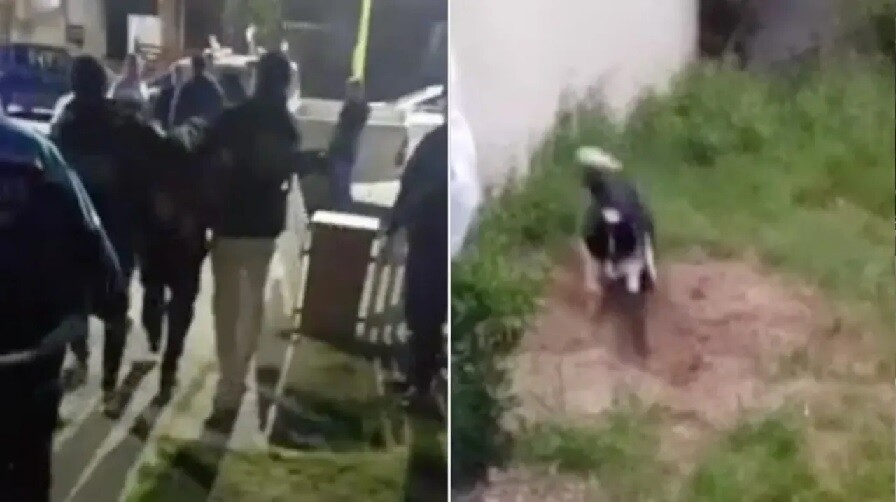 0068f0e5df09a9a_750x500.jpg Macabro: un hombre mató a su jefe, le usurpó la casa y lo enterró en el patio