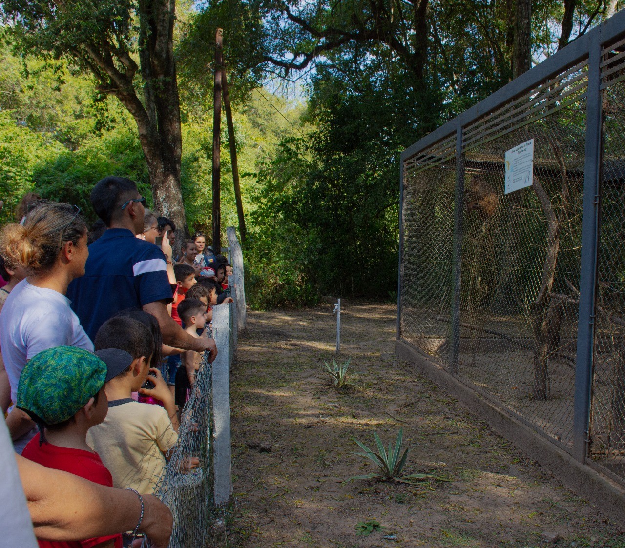 01.jpeg Éxito total en vacaciones: Más de dos mil personas visitaron la Reserva Guaycolec