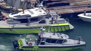 01.jpg Accidente en Miami: uno de los niños fallecidos era Mila Yankelevich
