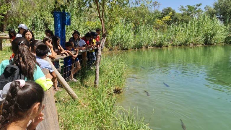 El Parque de la Biodiversidad, dependiente de la Dirección de Ecología Urbana de la Secretaría de Ambiente, ya habilitó su agenda para recibir visitas escolares.