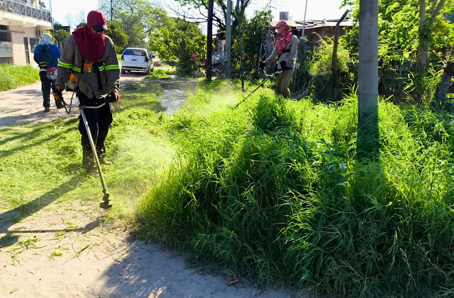02.jpg La comuna accionó en un vasto sector de la ciudad con el mantenimiento de espacios públicos