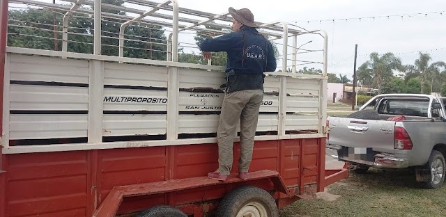 Secuestraron animales trasladados sin documentaciones