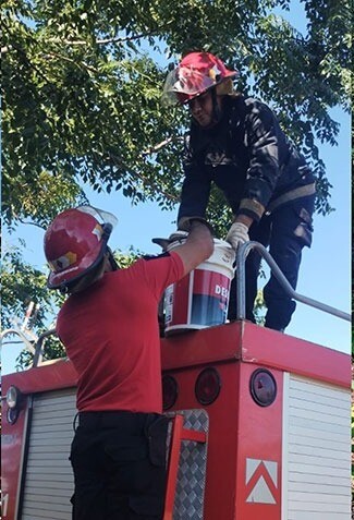 Estaba atrapado en un árbol y fue rescatado por Bomberos en Rafaela