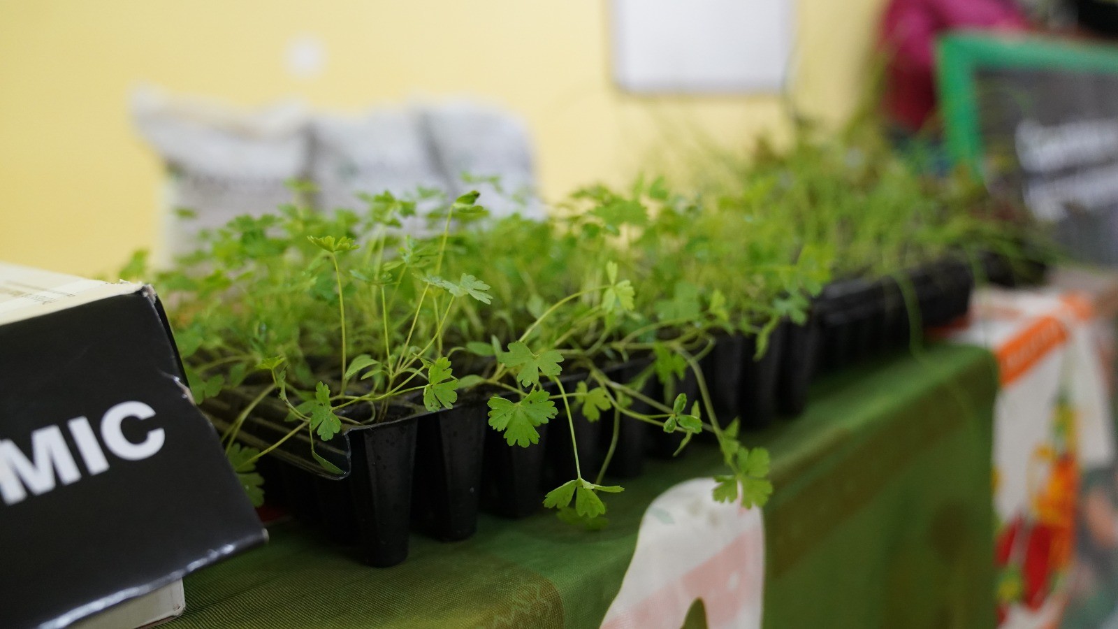 Exitosa capacitación en huertas agroecológicas en Apóstoles