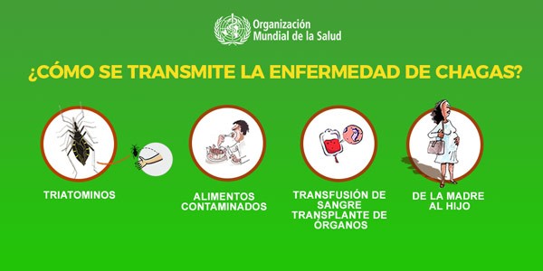 14 de abril: Día Mundial de la Enfermedad de Chagas