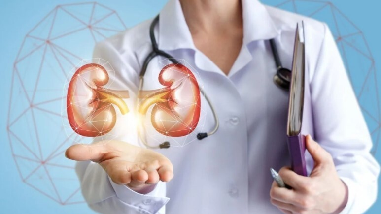 08.jpg Uno de cada 8 argentinos tienen enfermedad renal crónica aunque no todos lo saben