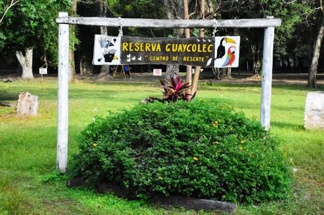 0903.jpeg Guaycolec abre sábados, domingos y feriados en vacaciones de invierno