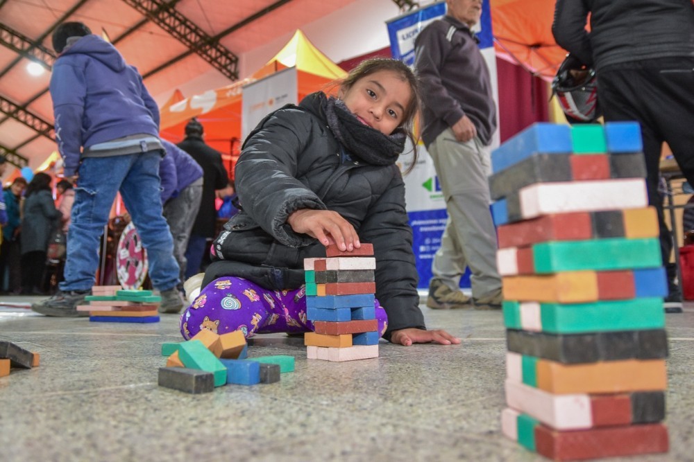 El Ministerio de Familia y Desarrollo Humano organiza actividades y propuestas para niños, niñas, adolescentes y también para jóvenes, que se desplegarán durante los días del receso escolar.