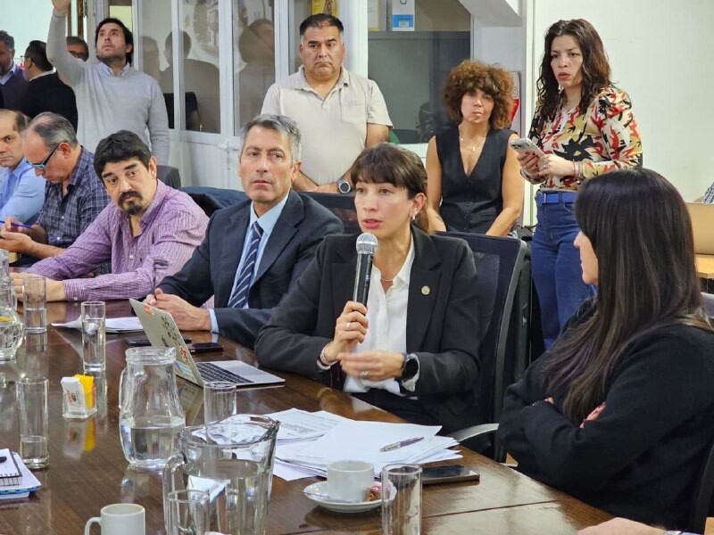 LA SECRETARÍA DE INDUSTRIA EXPUSO ANTE LEGISLADORES SOBRE LA SITUACIÓN DEL SECTOR Y EL RÉGIMEN DE ADUANA EN FACTORÍA
