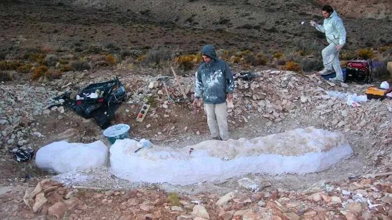 Bicharracosaurus: el nuevo dinosaurio que halló el Conicet en Chubut