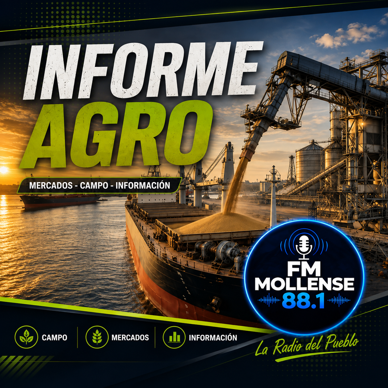 ACTUALIDAD MERCADO DE GRANOS