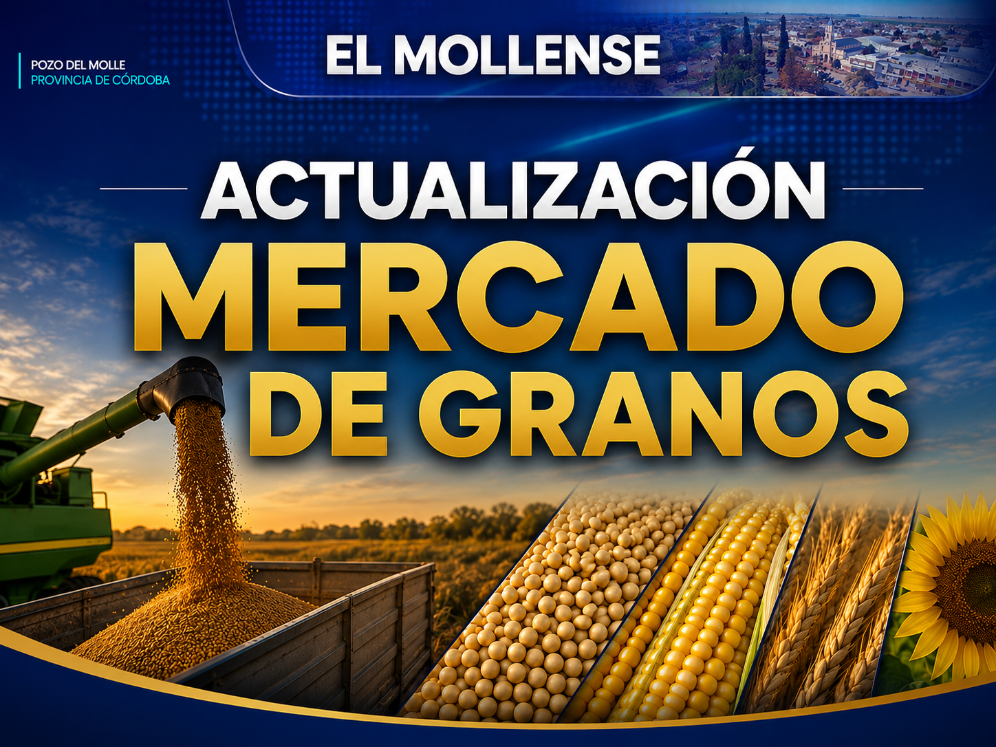 Mercado de granos: soja y trigo recuperaron terreno y el maíz volvió a concentrar negocios en Rosario