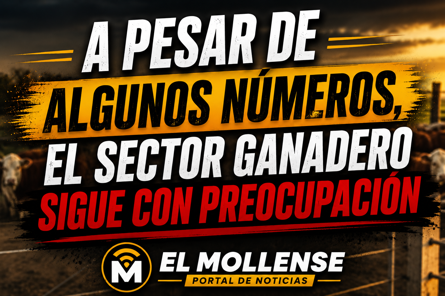 1000043904.png 🐄 A pesar de algunos buenos números, la ganadería sigue con preocupación