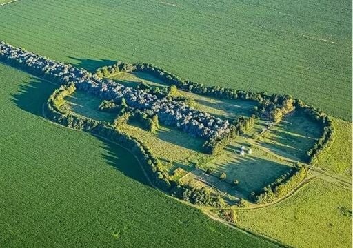 La guitarra de árboles que solo se ve desde el aire: la historia de amor detrás del homenaje más conmovedor de Córdoba