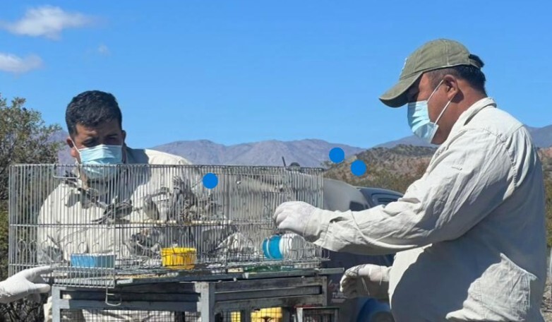1000360423.jpg Ambiente liberó aves silvestres recuperadas en operativos contra la tenencia ilegal