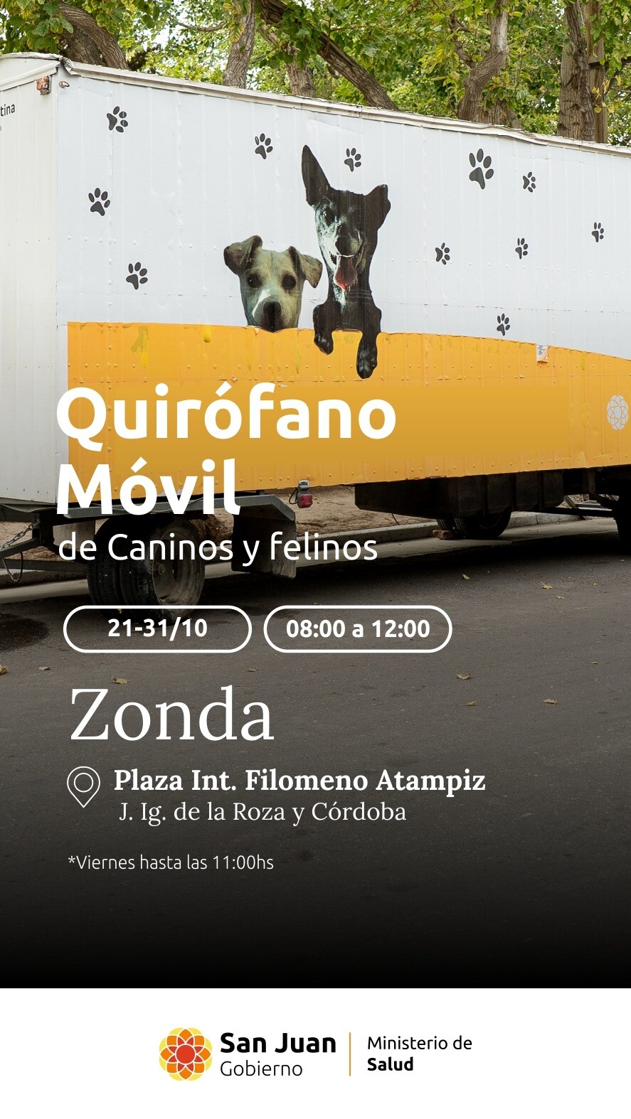 1000399626.jpg El Quirófano Móvil de Mascotas de encuentran en Zonda
