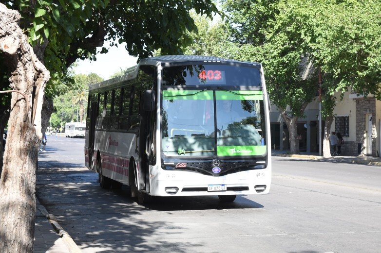 1000429561.jpg FNS 2025: habrá colectivos gratis y 23 puntos de partida