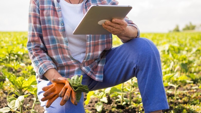 1000536042.jpg Actualizan el registro de productores asociados a la Sociedad de Chacareros Temporarios