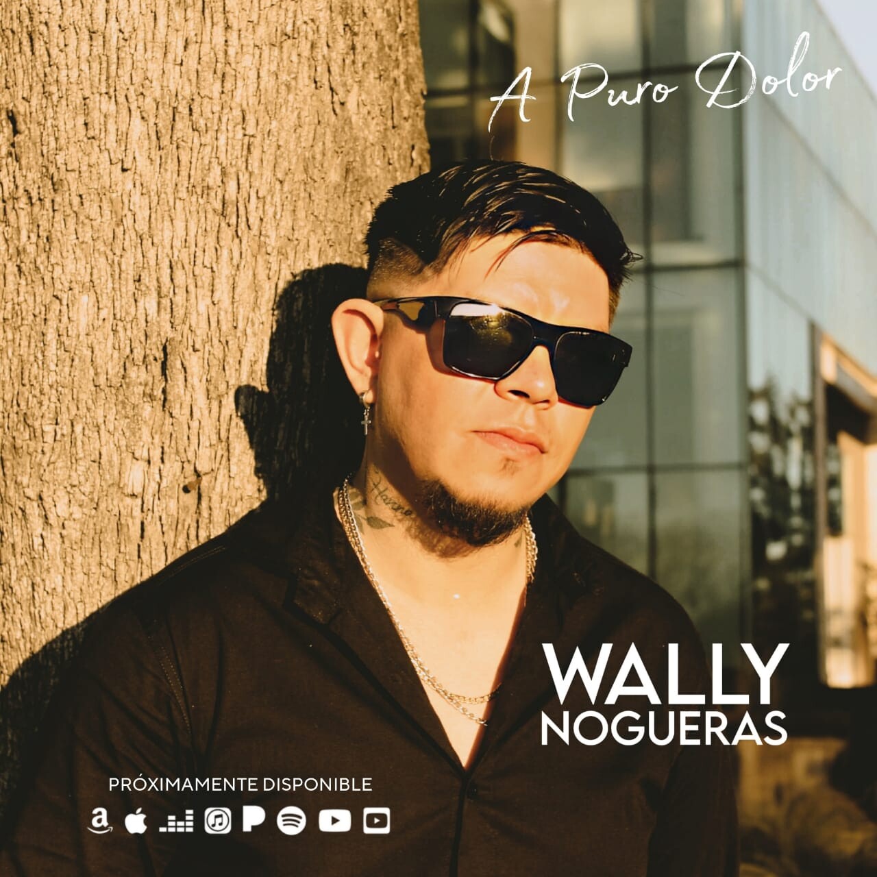 WALLY NOGUERAS: Un Artista del Chamamé