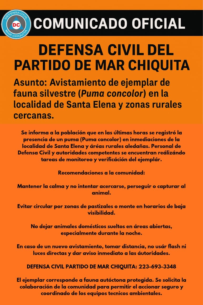 VISTAMIENTO DE UN PUMA