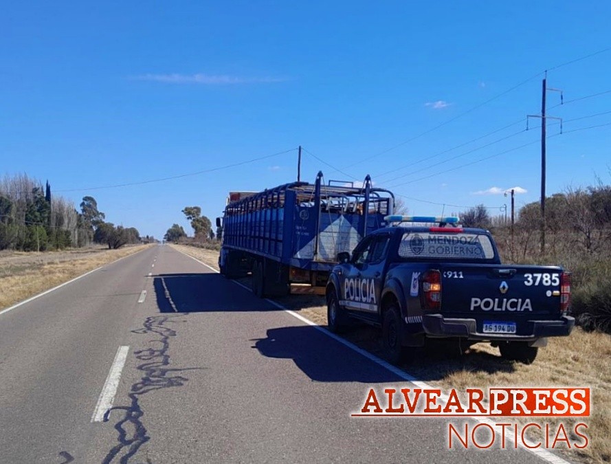 Traslado irregular de animales en General Alvear