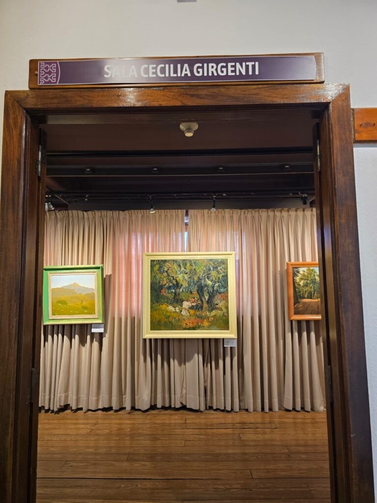El Museo de la Patagonia reabre la Sala Cecilia Girgenti con la muestra “Paisajes”