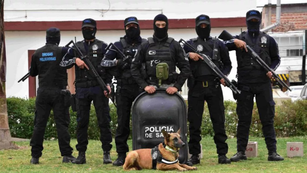 Más de 290 kilos de droga fueron decomisados por la Policía de Salta