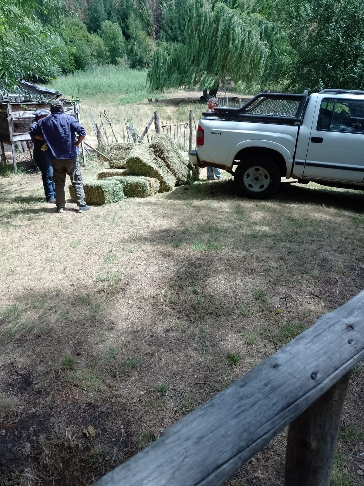 101680d9-11be-4951-bf8e-f2f181db82cc.jpeg Provincia asiste a productores afectados por los incendios en la región cordillerana