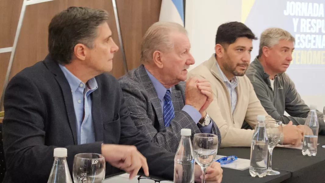 109747-salta-fue-sede-regional-para-la-jornada-de-articulacion-de-estrategias-de-abordaje-ante-el-fenomeno-el-ninio.webp