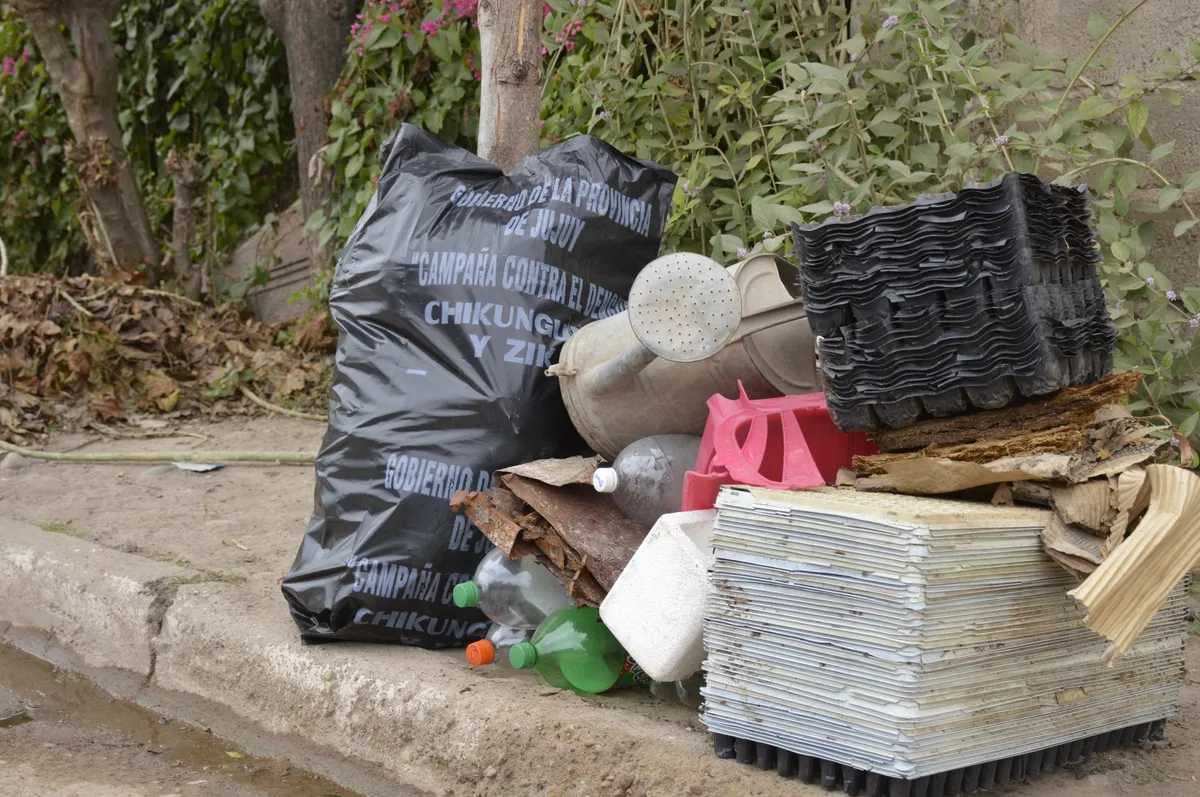 Chikungunya: Jujuy refuerza las acciones preventivas con énfasis en el descacharrado