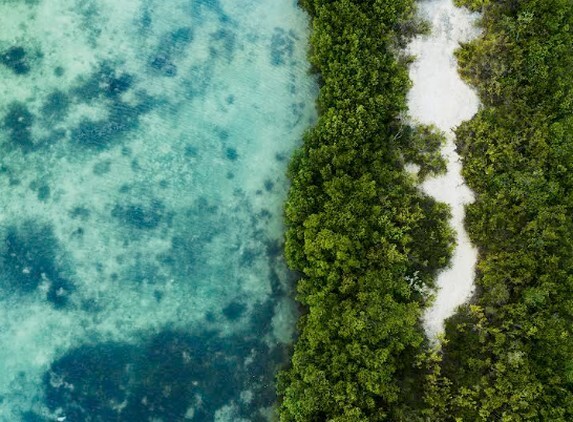 Hoteles sostenibles: gestión eficiente del agua