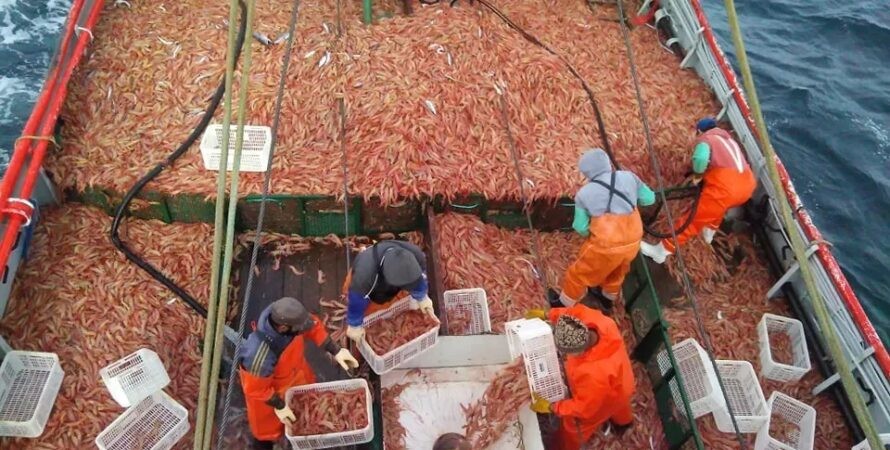 Puerto Rawson se prepara para el inicio de la temporada de langostinos con mejoras en operatividad y seguridad