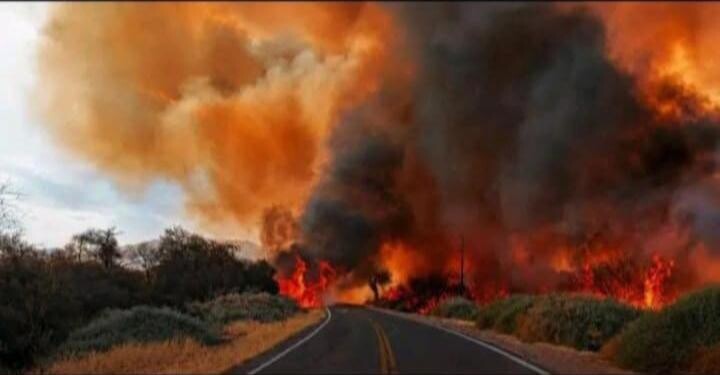 El viento zonda reavivó el incendio en Cafayate y obligó a cortar el paso hacia Salta Capital