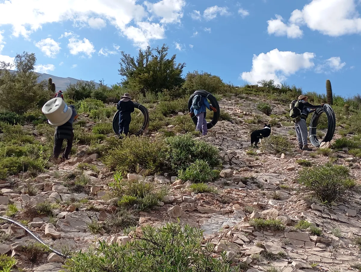 1739460275524jpg.webp 1739460275524jpg.webp