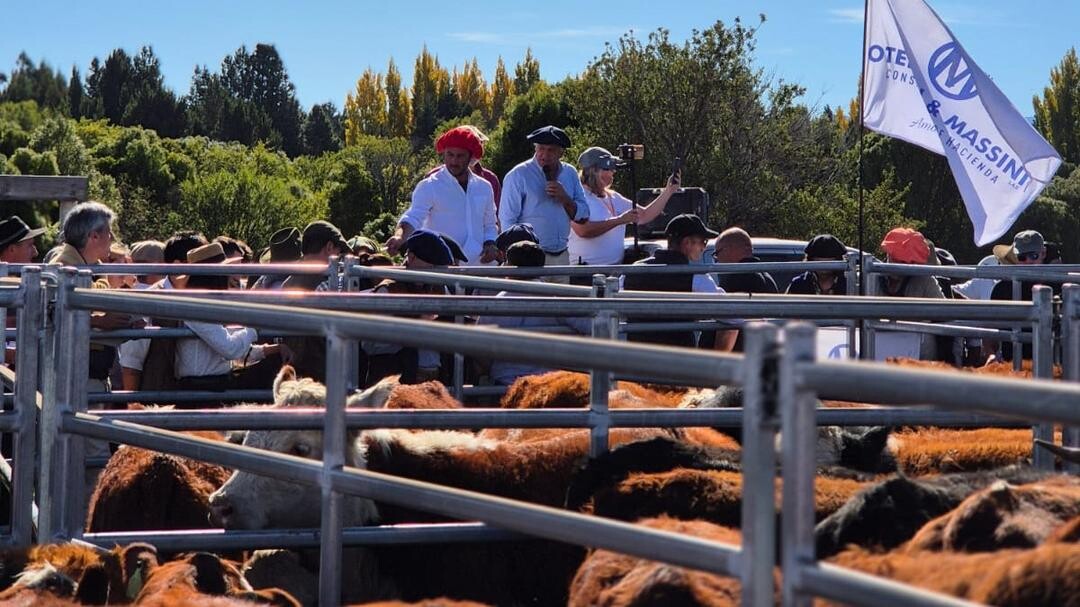 1775770764_21dd5d4985b52863e1a2