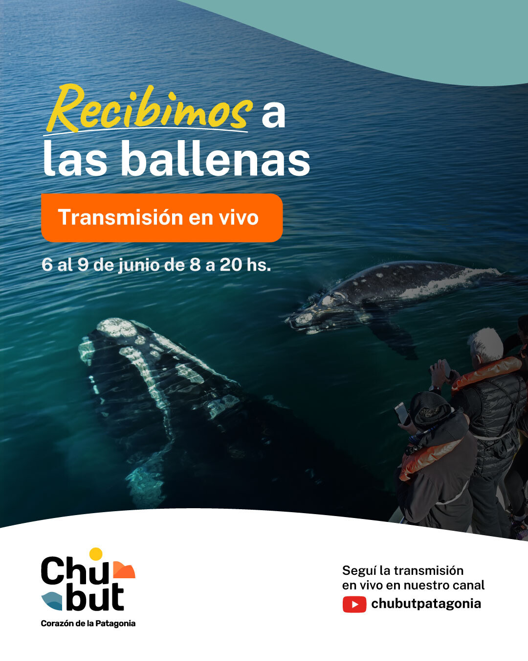 Chubut transmitirá en vivo la llegada de las ballenas y dará inicio a una nueva temporada de avistaje