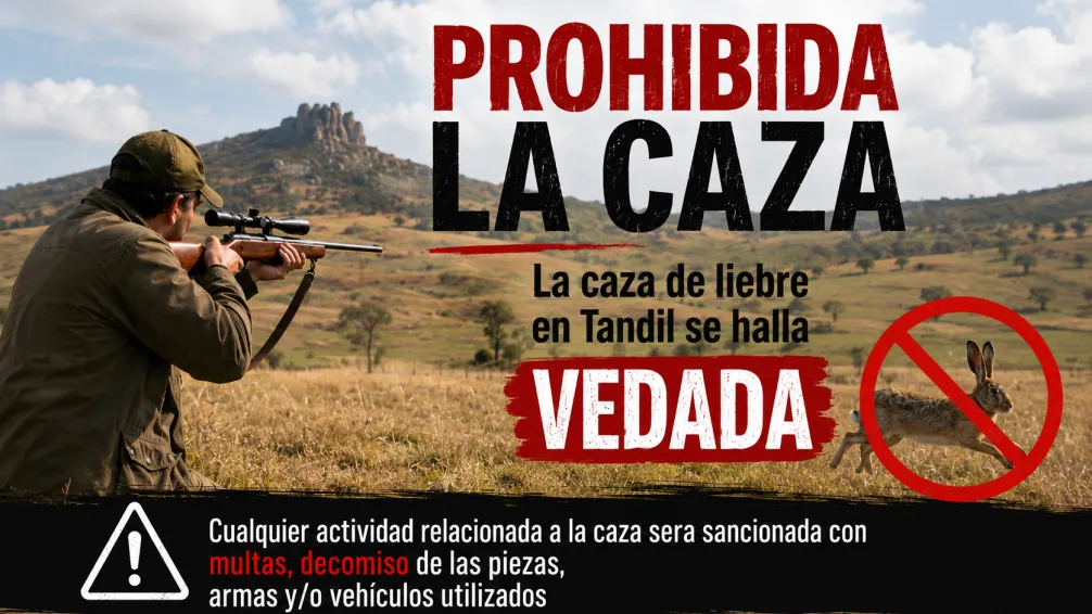 Decretaron la prohibición de caza de liebre en el Partido de Tandil