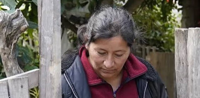 1.jpg La fiscal del caso Loan apuntó contra Laudelina: supone que plantó una prueba