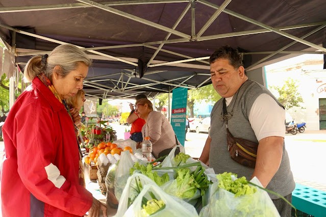Agenda semanal de los Bolsones Saludables