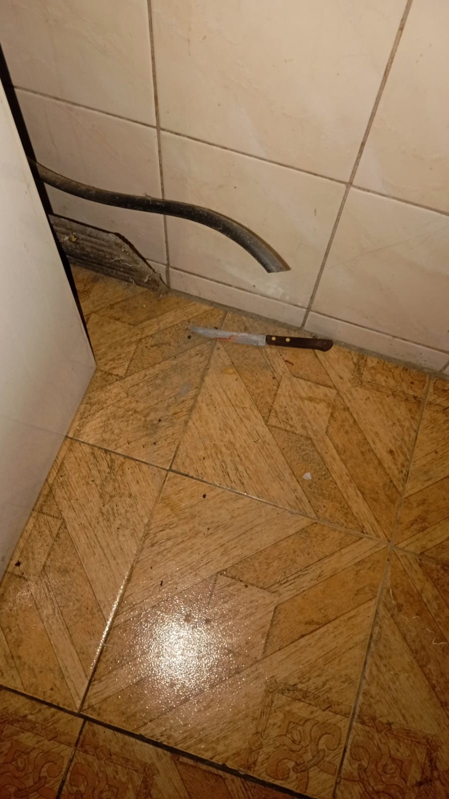 1d722d23-641f-48bc-9caa-2bd678dce0fd (1).jpg 1d722d23-641f-48bc-9caa-2bd678dce0fd (1).jpg