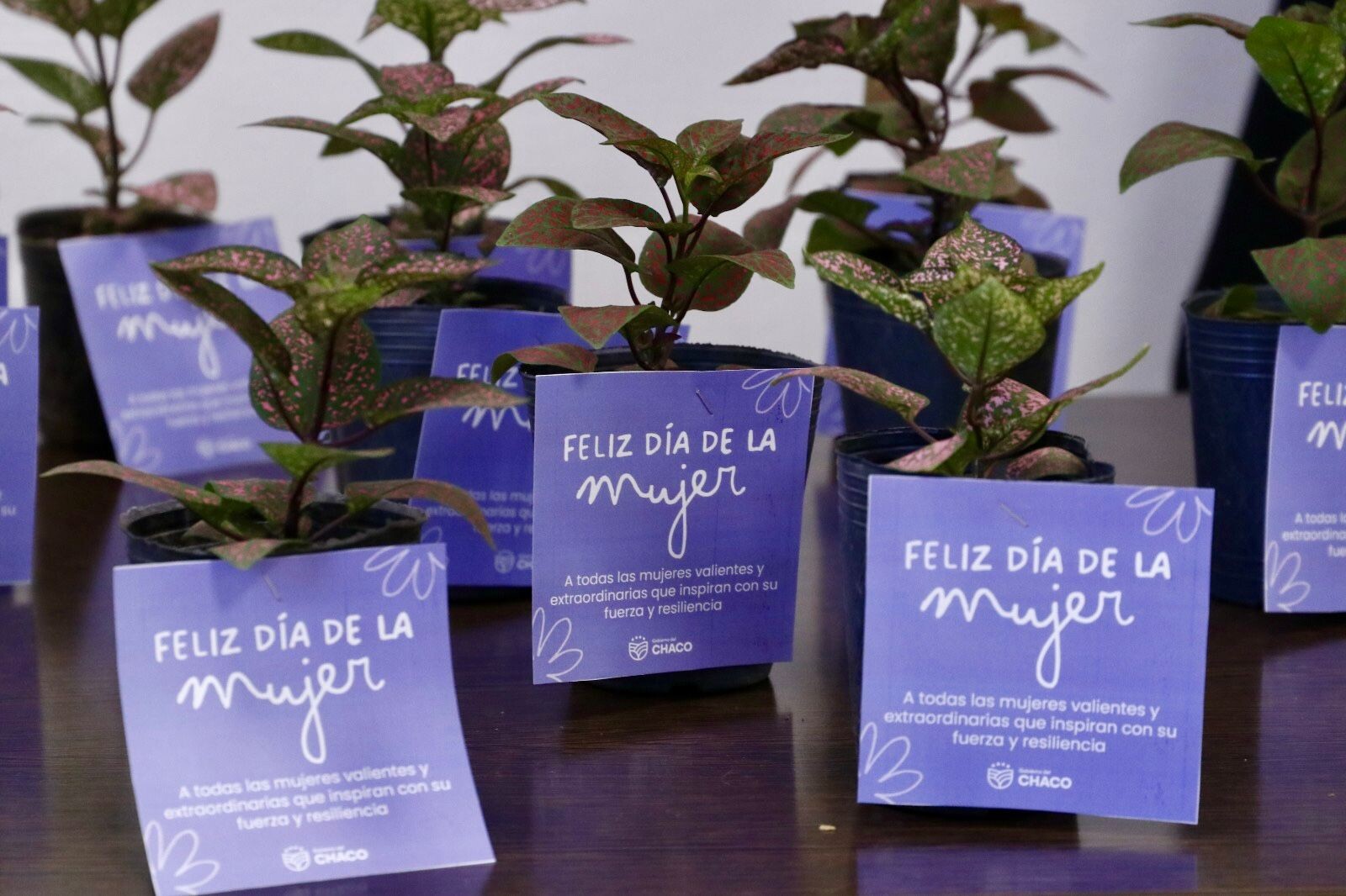 IPRODICH: JORNADA DE ENCUENTRO Y ACOMPAÑAMIENTO A MUJERES DEL CENTRO DE INTEGRACIÓN SOCIAL N° 4