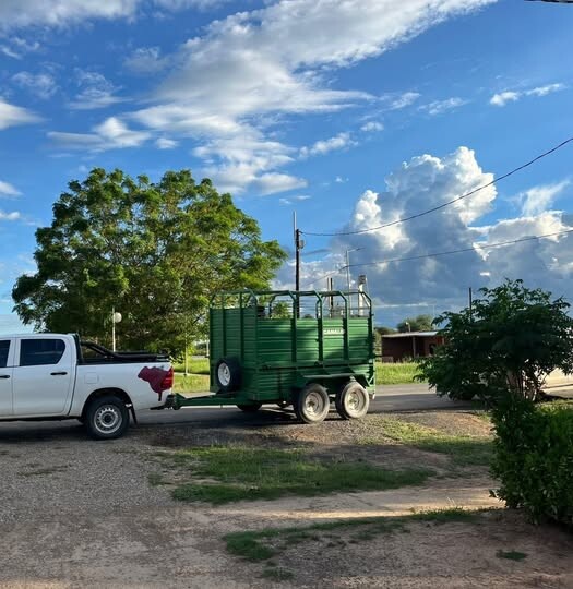 1.jpg LaMadrid: La Policía secuestró una camioneta que trasladaba animales vacunos sin documentaciones pertinentes