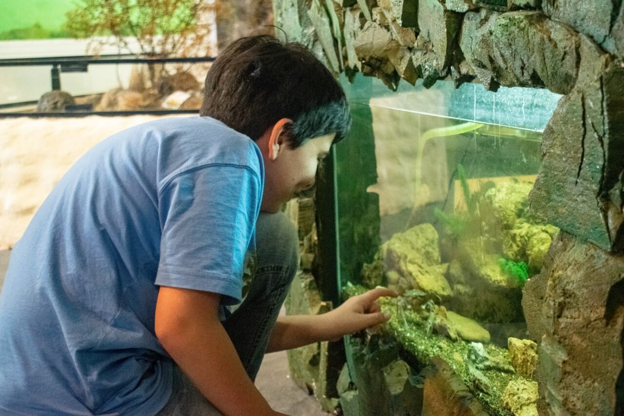 Vacaciones de invierno: Aquavida propone una experiencia para conocer la biodiversidad del mar Patagónico