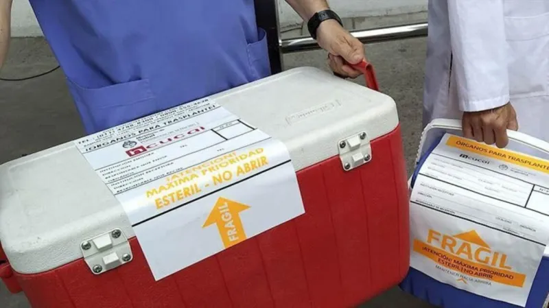 La donación de órganos en Santa Fe rompe récords: segunda del país y primera en Latinoamérica en un hito médico