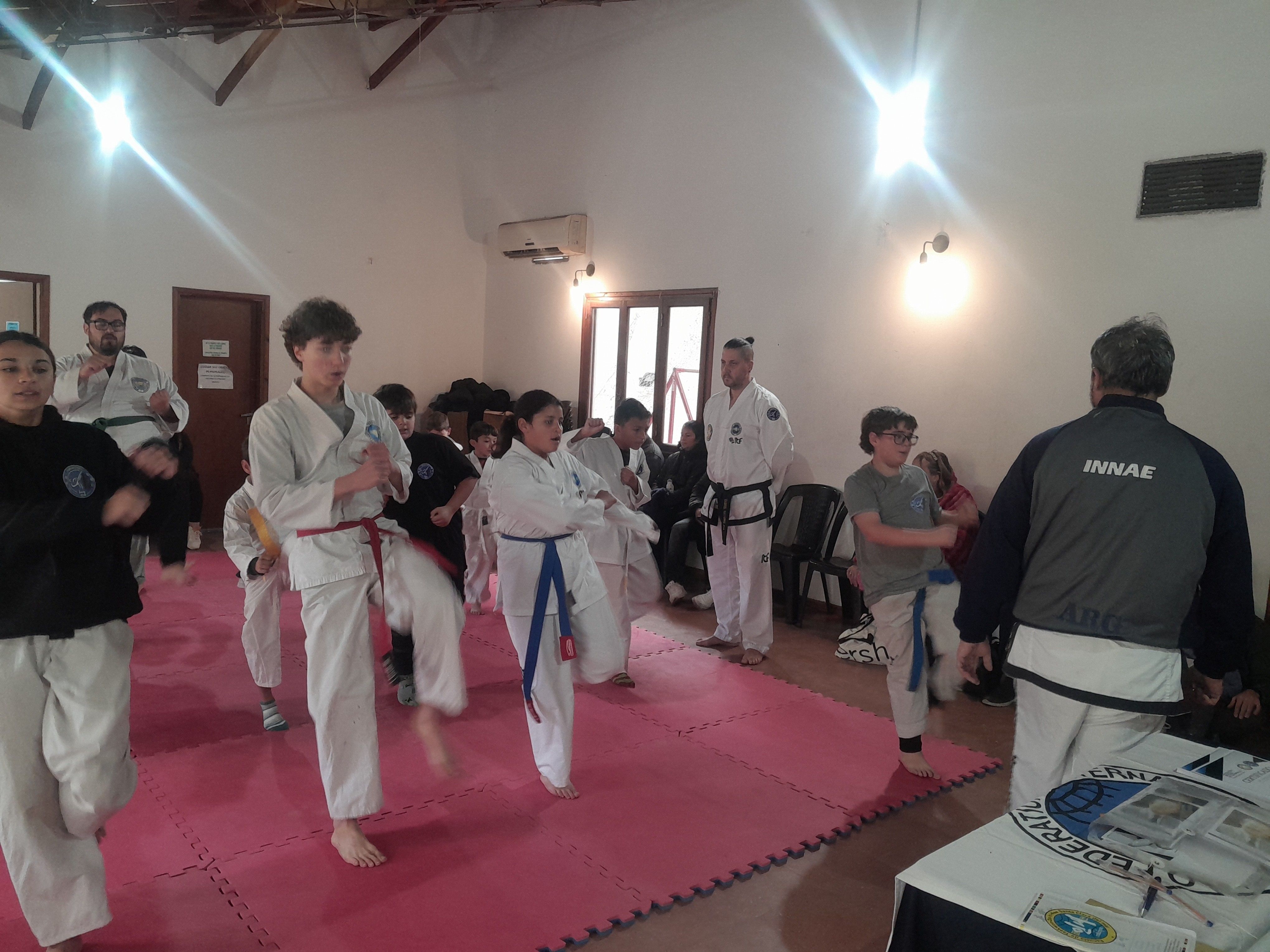 Galería Imagen 23