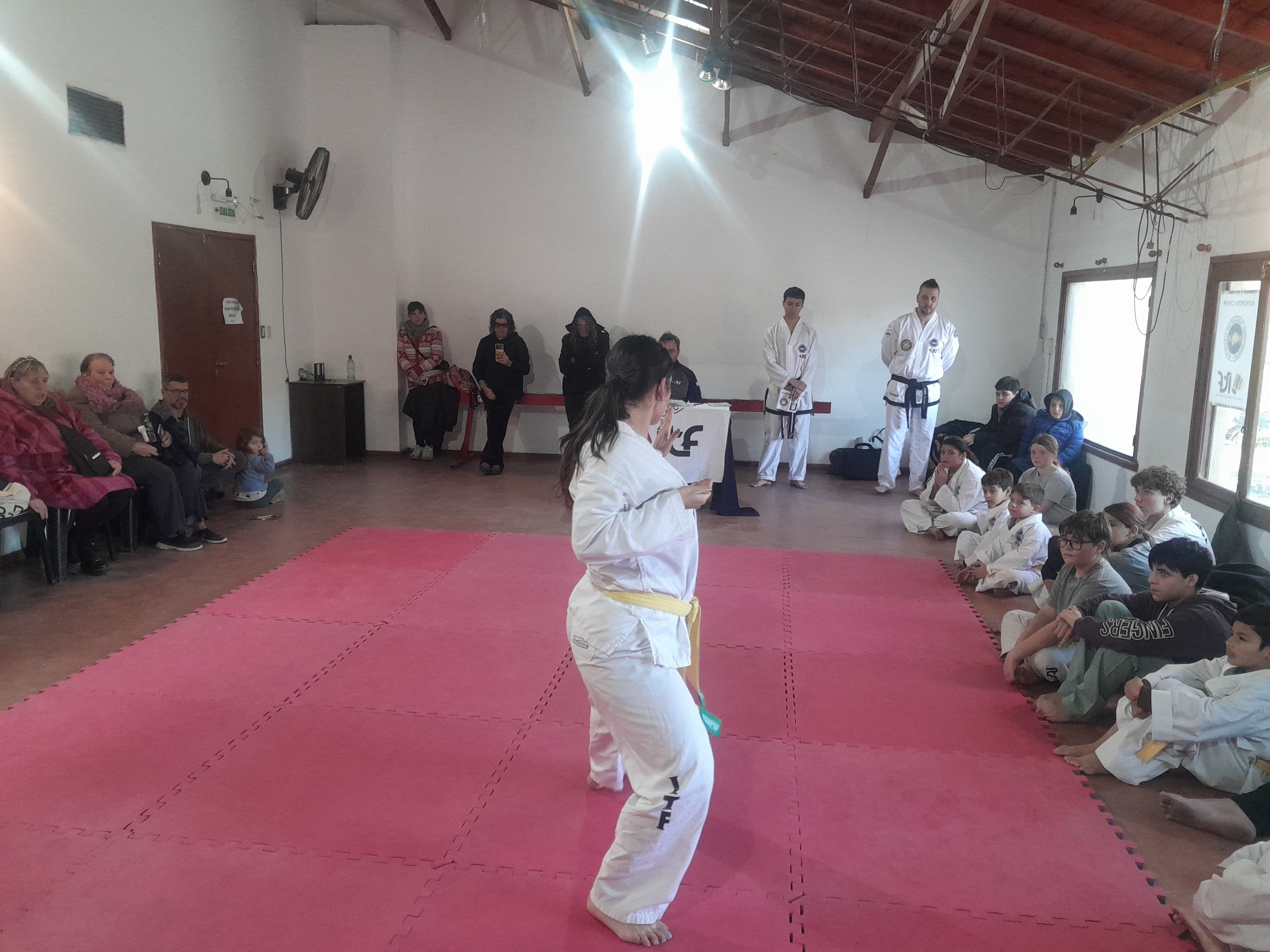 Galería Imagen 22