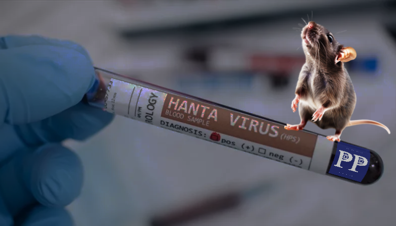 SALTA: ALERTA POR HANTAVIRUS CON 14 CASOS Y CUATRO MUERTES, REFUERZAN CAPACITACIONES SANITARIAS