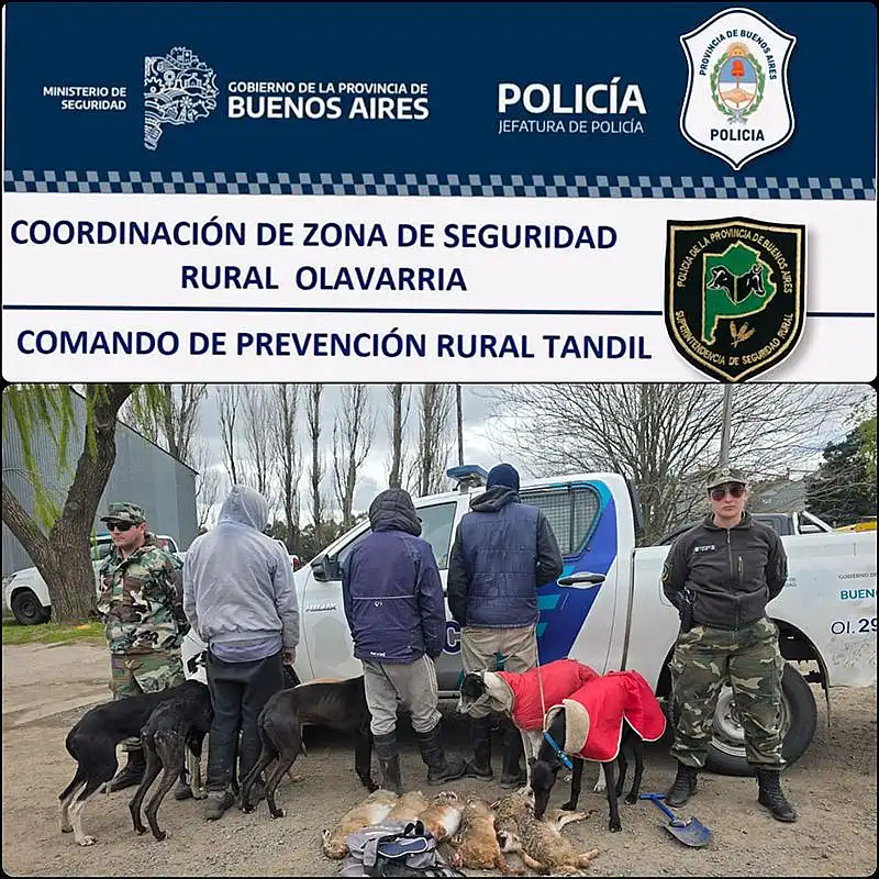 Los sorprendieron cazando liebres en un campo de Tandil y fueron aprehendidos
