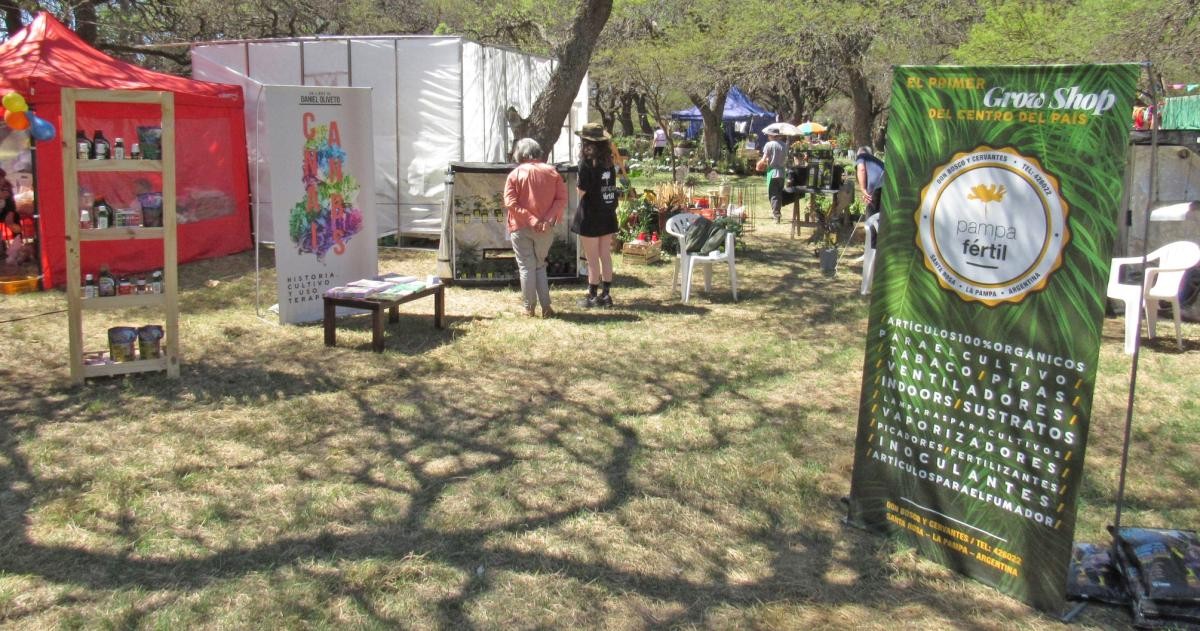 Policía Federal retuvo productos en un grow shop de La Pampa por supuestos permisos vencidos