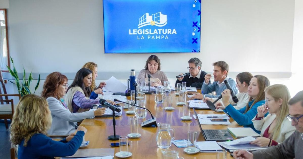 La Pampa: impulsan emergencia en discapacidad y más de 15 proyectos de interés legislativo